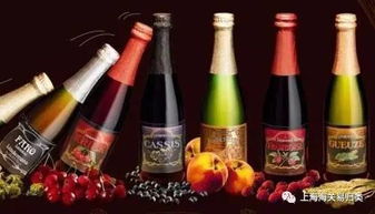 紅酒知識(shí)講座 探索酒精飲料的優(yōu)雅世界